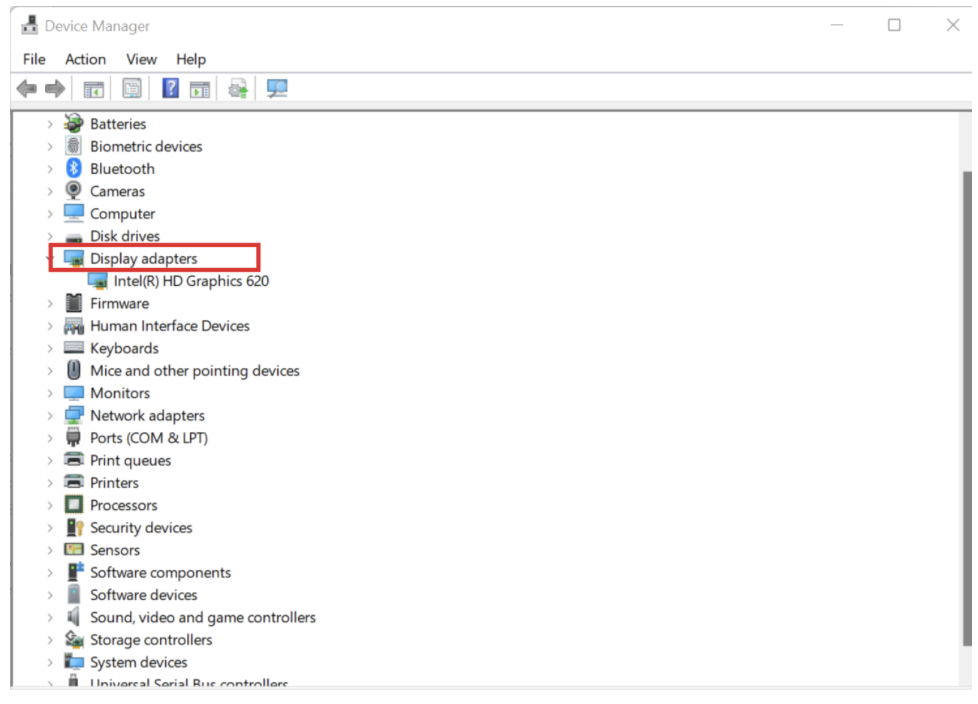 Double-click on Display adapters to see a list of your graphics cards